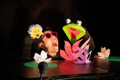 Agrandir l'image, fenêtre modale