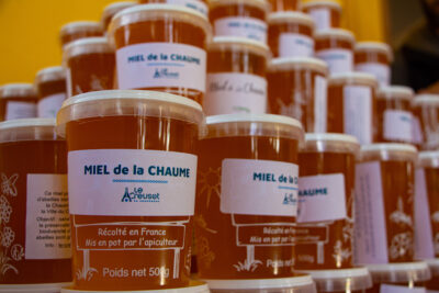 Agrandir l'image, fenêtre modale