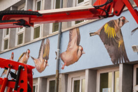 Agrandir l'image, fenêtre modale