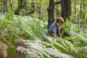 Agrandir l'image, fenêtre modale